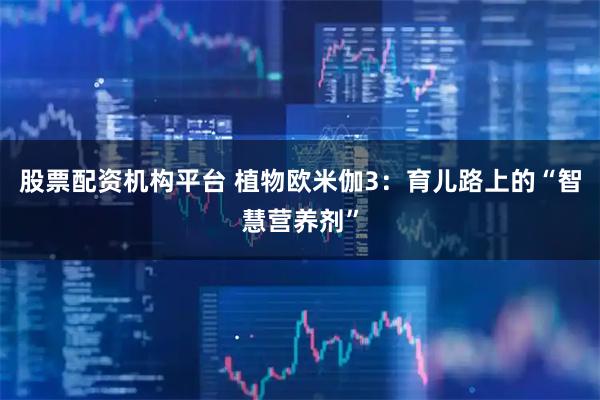 股票配资机构平台 植物欧米伽3：育儿路上的“智慧营养剂”