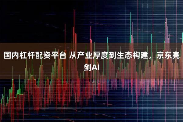 国内杠杆配资平台 从产业厚度到生态构建，京东亮剑AI