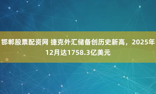 邯郸股票配资网 捷克外汇储备创历史新高，2025年12月达1758.3亿美元