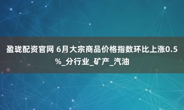 盈珑配资官网 6月大宗商品价格指数环比上涨0.5%_分行业_矿产_汽油