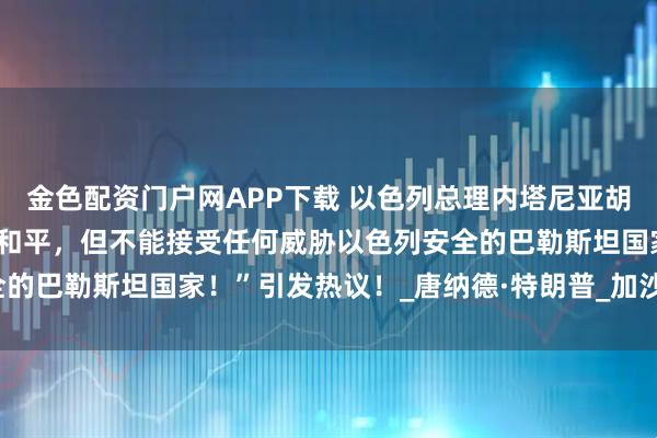 金色配资门户网APP下载 以色列总理内塔尼亚胡表示：“希望与巴勒斯坦和平，但不能接受任何威胁以色列安全的巴勒斯坦国家！”引发热议！_唐纳德·特朗普_加沙地带_美国