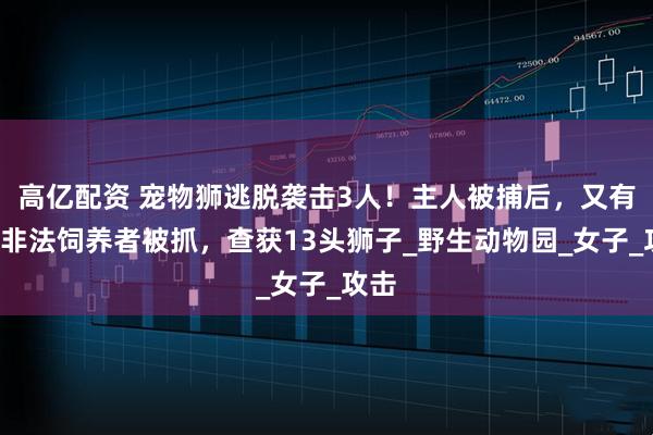 高亿配资 宠物狮逃脱袭击3人！主人被捕后，又有5名非法饲养者被抓，查获13头狮子_野生动物园_女子_攻击