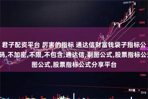 君子配资平台 厉害的指标 通达信财富钱袋子指标公式 副图 源码,不加密,不限,不包含,通达信,副图公式,股票指标公式分享平台